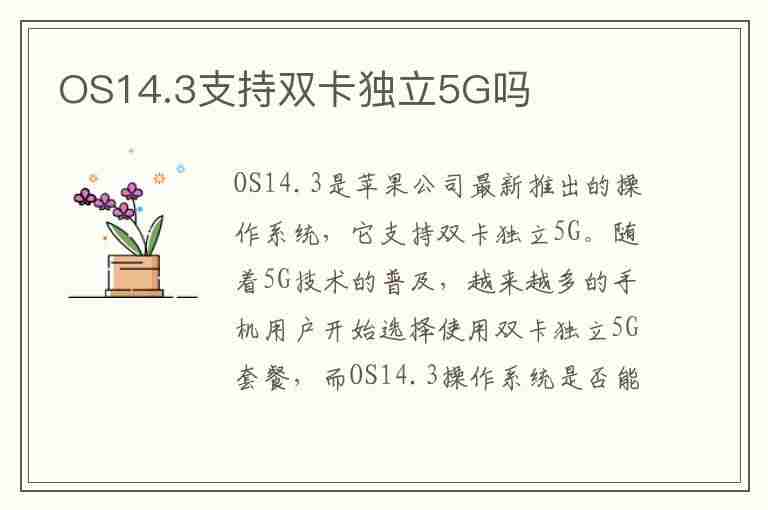 OS14.3支持双卡独立5G吗(ios14.3支持双卡独立5g)